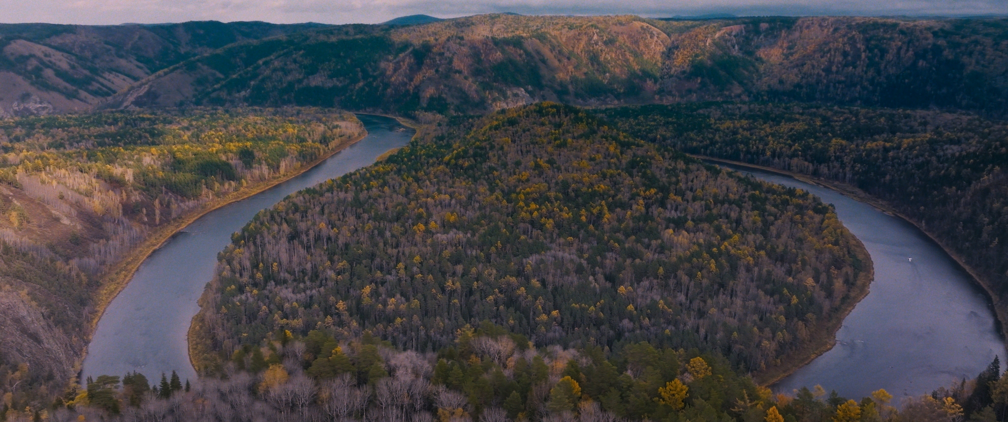 Мой дед – афиша