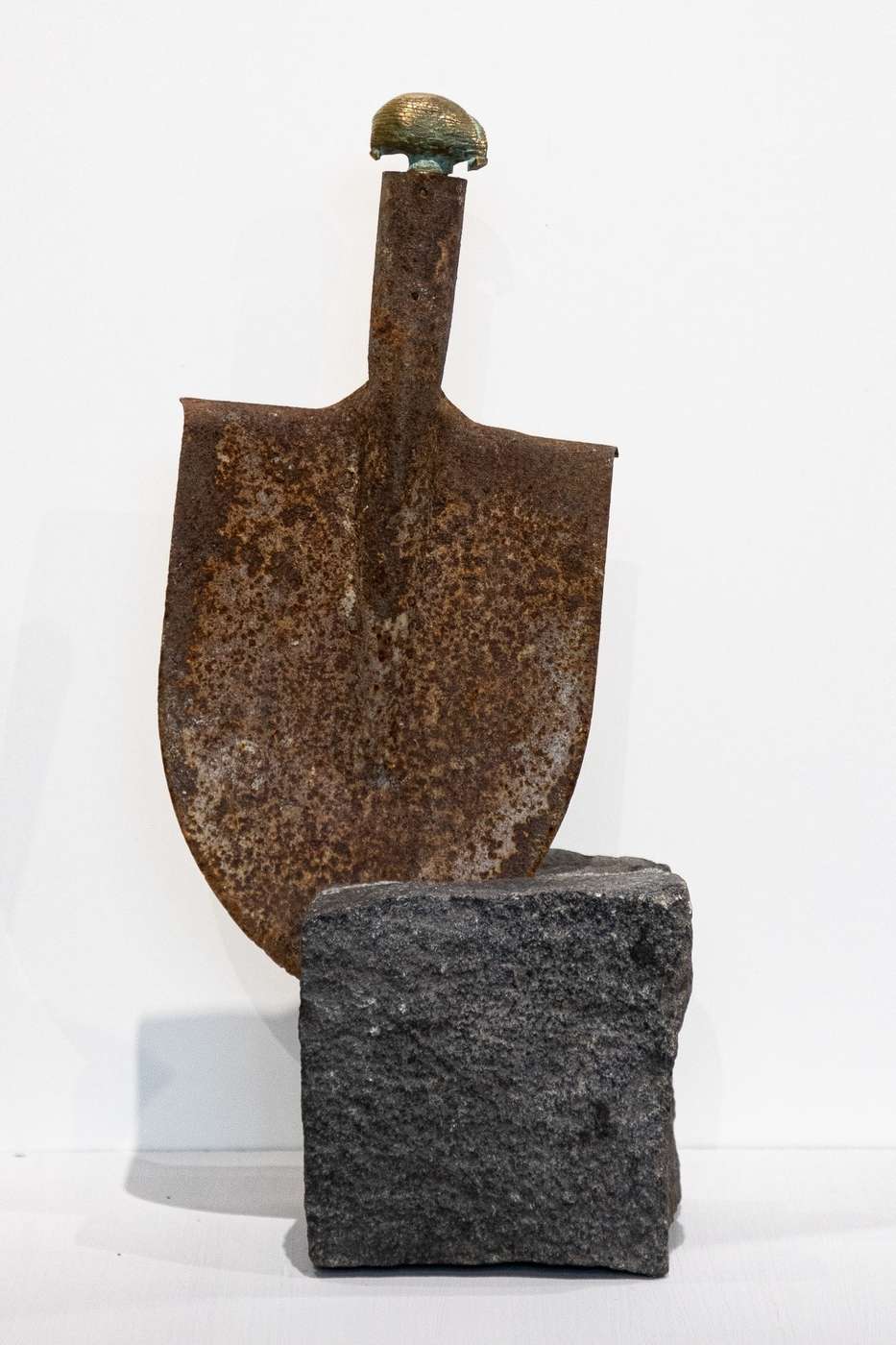 Цветок-гибрид – афиша