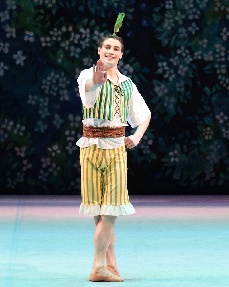 Чиполлино – афиша