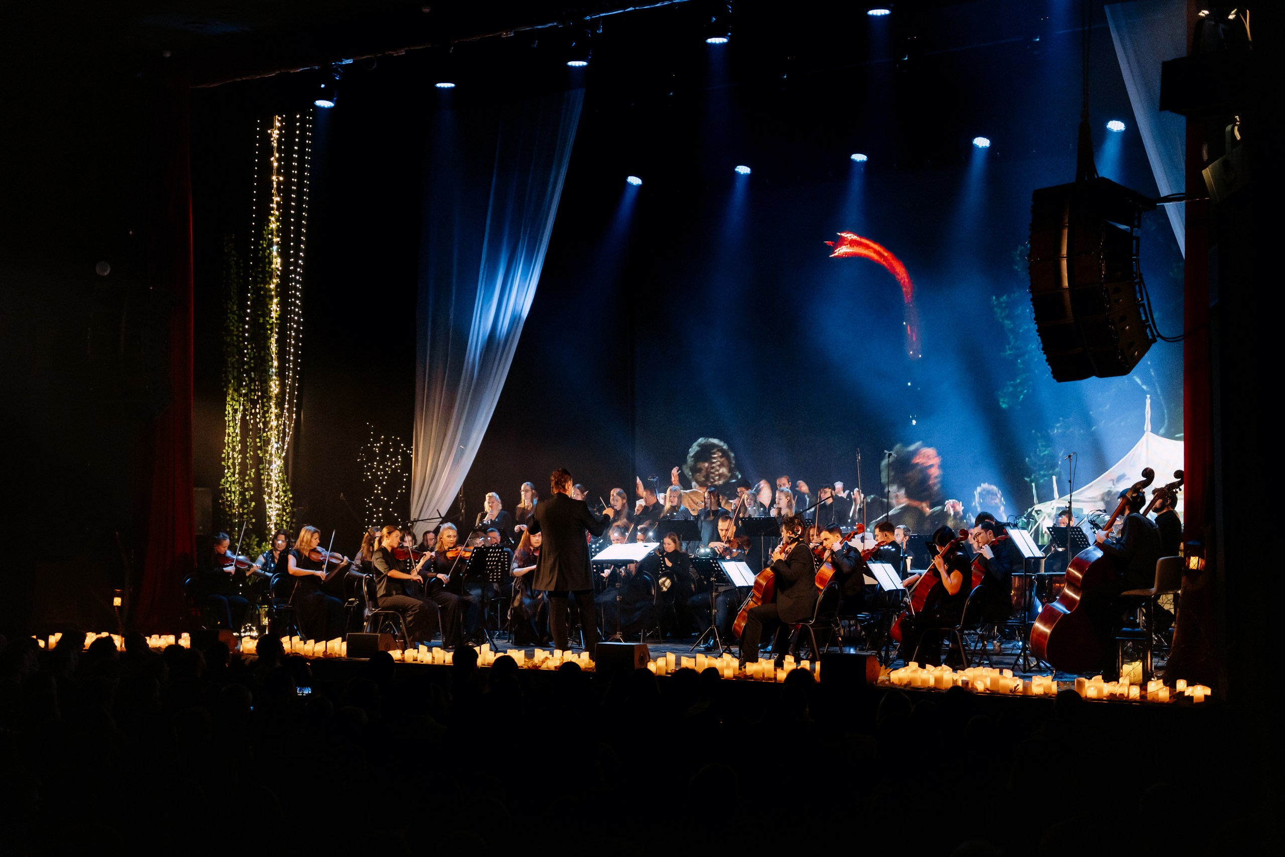 Властелин колец. Imperial Orchestra – афиша