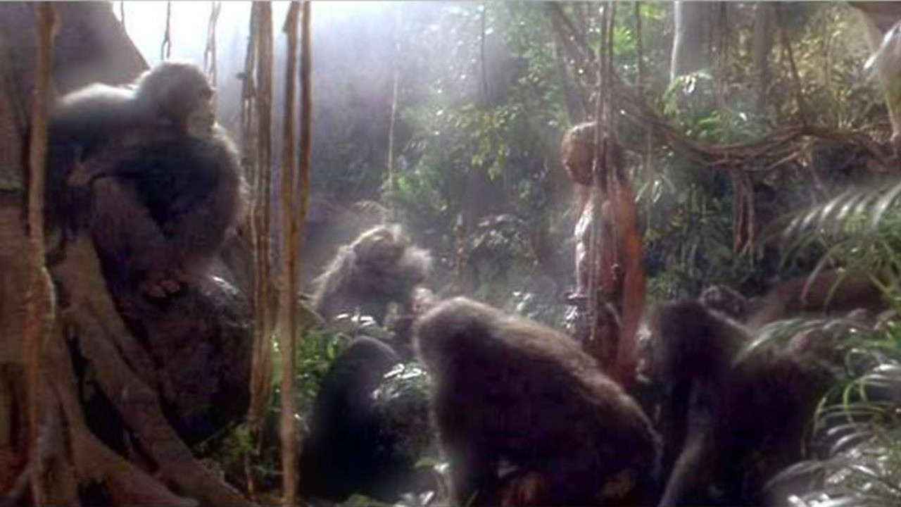 Грейсток: Легенда о Тарзане, повелителе обезьян – афиша