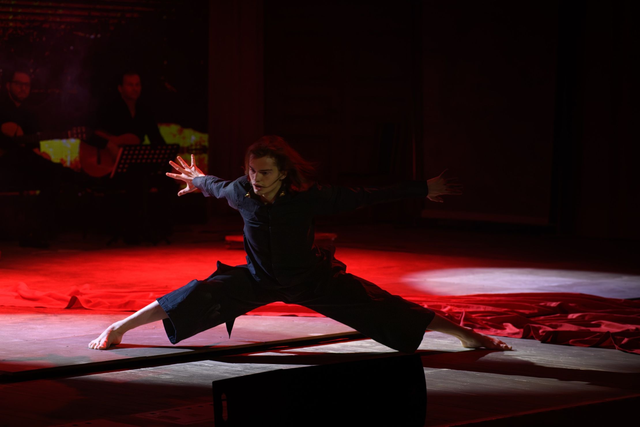 Salvador – афиша