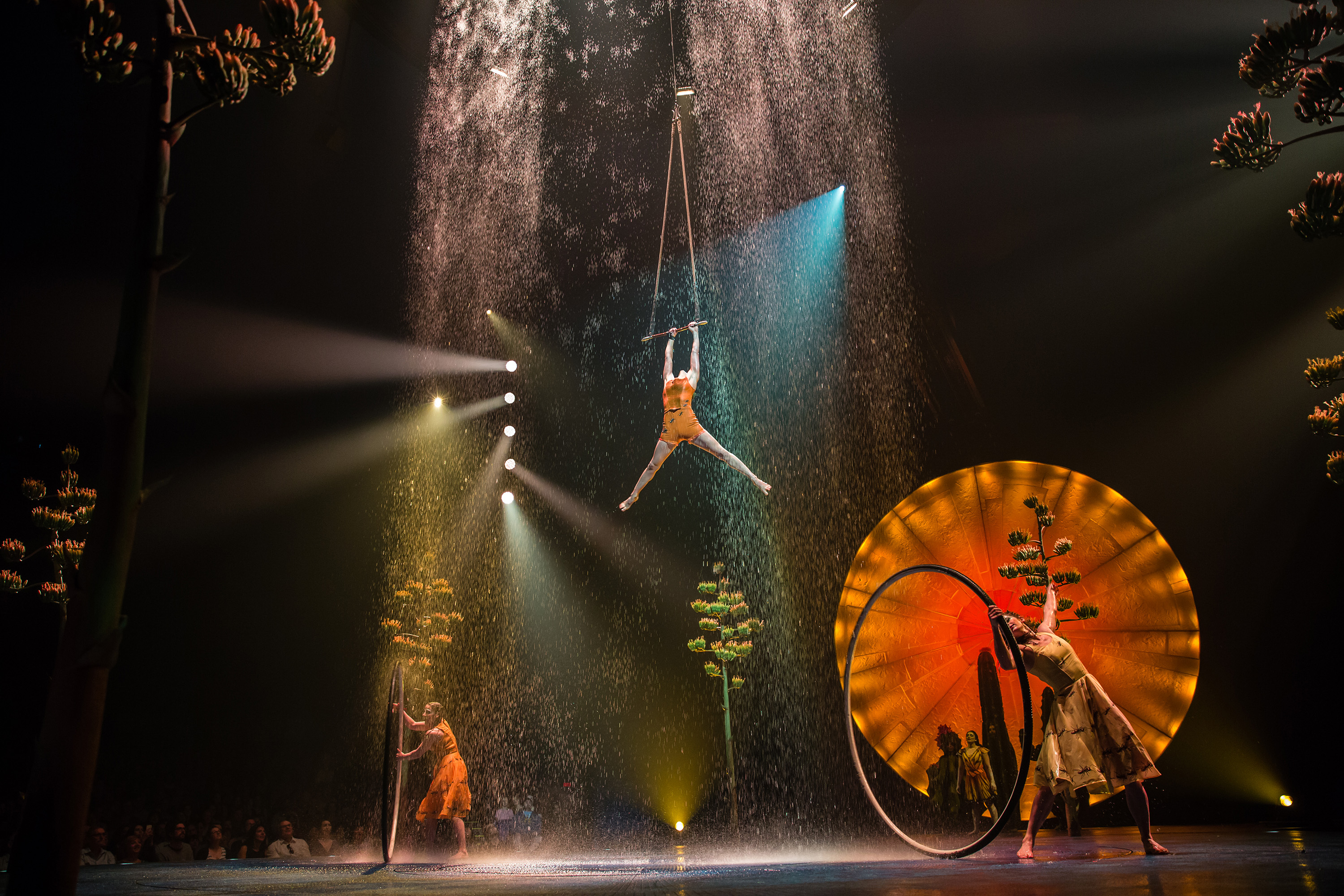 Luzia – афиша