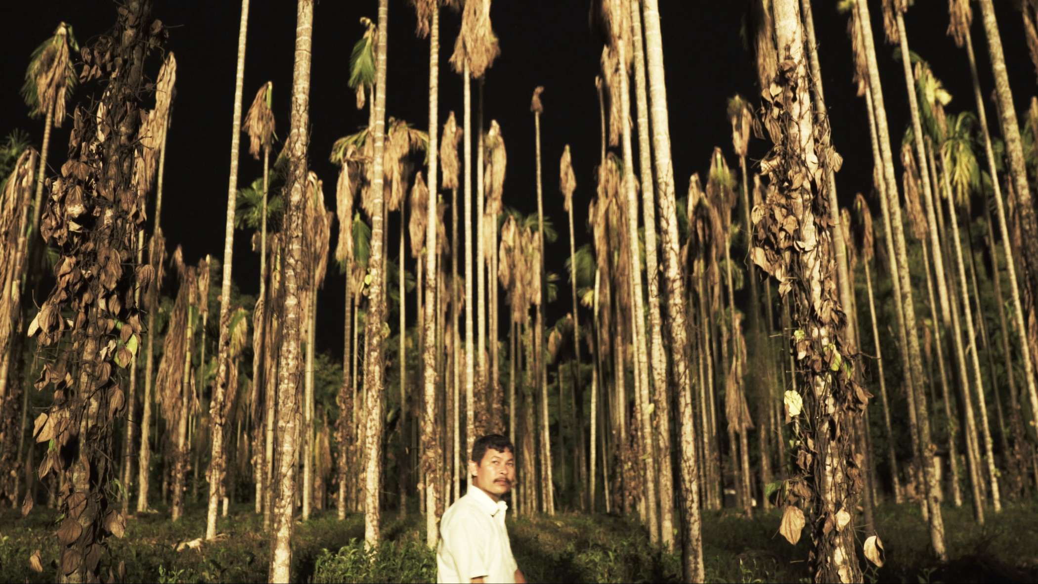 Багджан – афиша