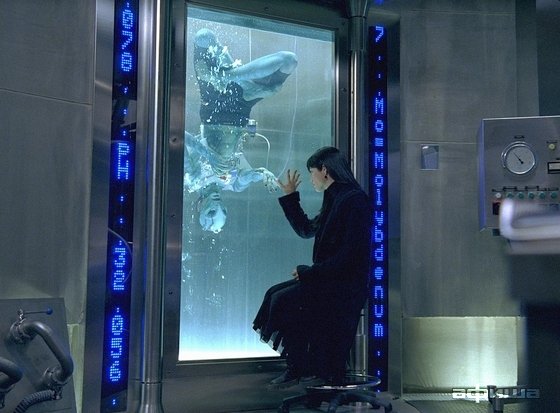 Сельма Блэр – фото