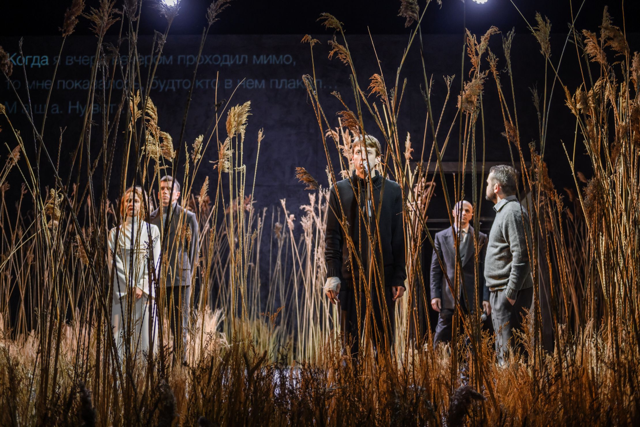 Чайка – афиша