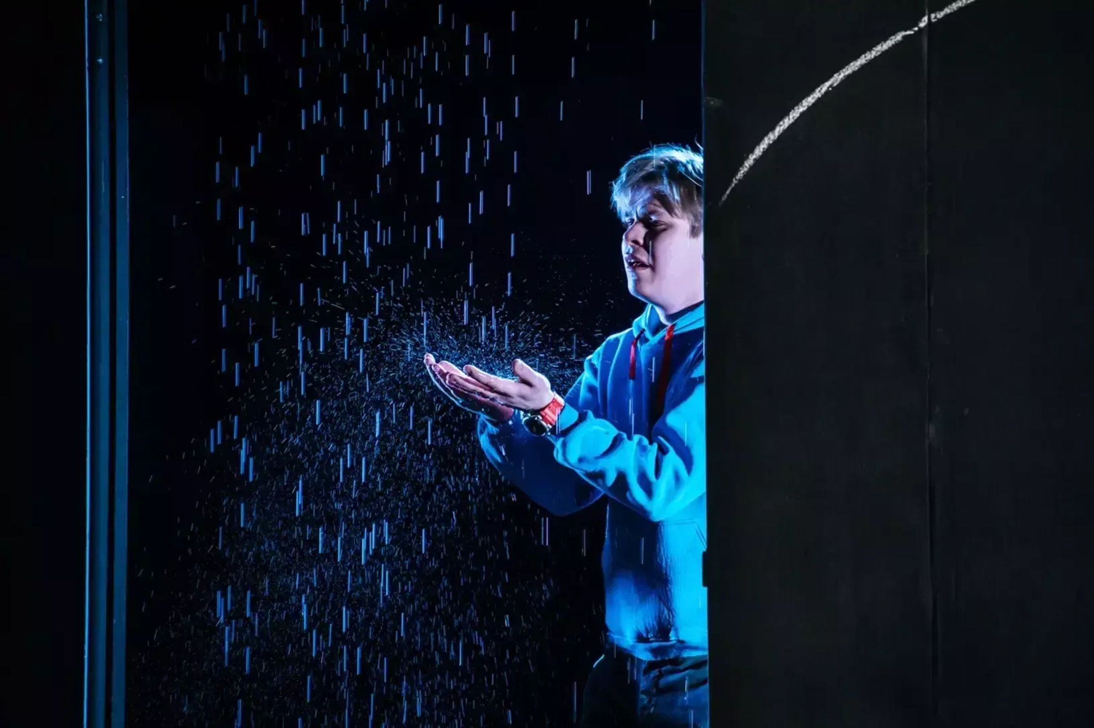 Загадочное ночное убийство собаки – афиша