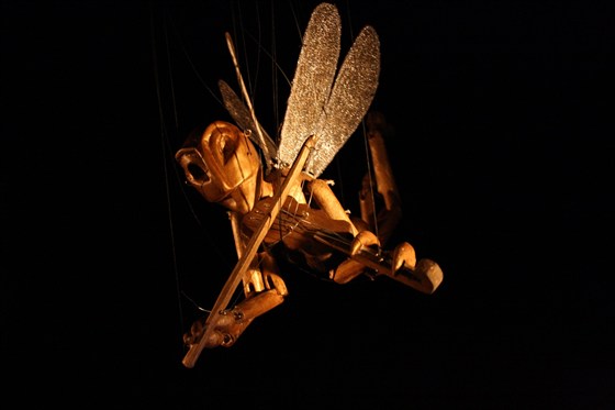 Марионеточный цирк насекомых – афиша