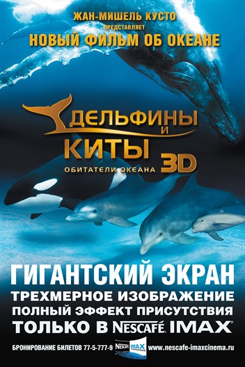 Дельфины и киты 3D – афиша
