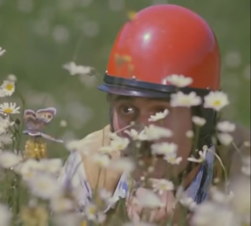 Бабочка – афиша